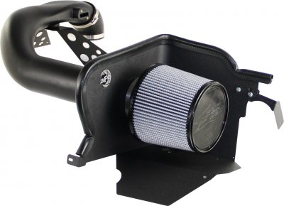 51-10512 Afe Power Система холодного впуска Momentum/Magnum Pro DRY S (сухой) Ford F-150 04-08 V8-5.4L 