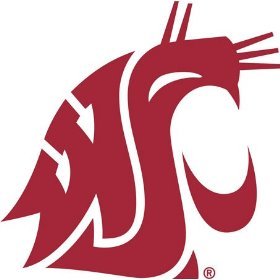 чехол на руль - Washington State Collegiate 