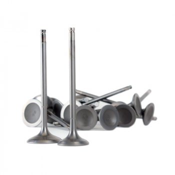 310-05-9310 SCUNK2 Клапана впуск/выпуск комплект Acura B17A1, B18A1, B1, C1, C5; Honda B16A2, A3, B20B, Z 