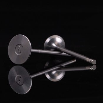 310-05-9320 SCUNK2 Клапана впуск/выпуск комплект Acura B17A1, B18A1, B1, C1, C5; Honda B16A2, A3, B20B, Z 