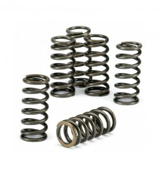 CSK007 EBC Brakes Пружины сцепления Kawasaki KLR 250, ZXR 250, ZZR 400, Vulcan 750 / 800 Drifter (комплект) выпуска 1991-2002 года