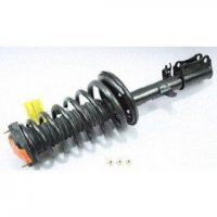 Quick-Strut Assembly