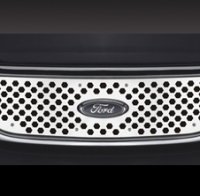 Решетка радиатораl Insert: 1999-2003 Ford F150; hole; stainless steel