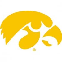 чехол на руль - Iowa Collegiate