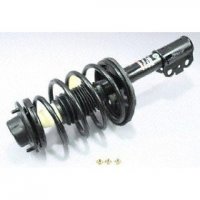 Quick-Strut Assembly