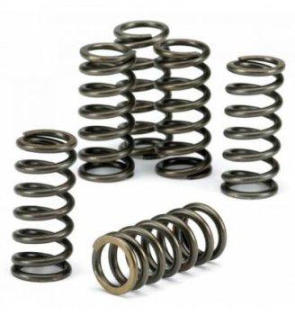 CSK178 EBC Brakes Пружины сцепления Honda CR, XR, CRF, TRX  (комплект) выпуска 1994-2009 года