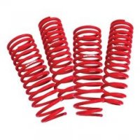 519-06-61830 SCUNK2 Заниженная пружина 2003-05 EVO VIII