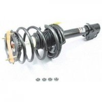 Quick-Strut Assembly