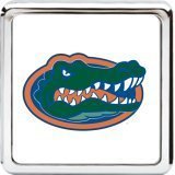 чехол на руль - Notre Dame Collegiate